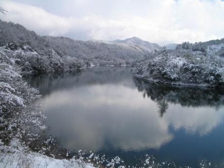 白椿湖の写真