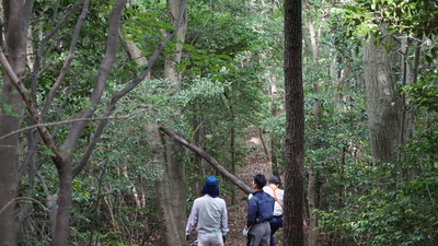 車山登山道岩舟コース倒木撤去写真