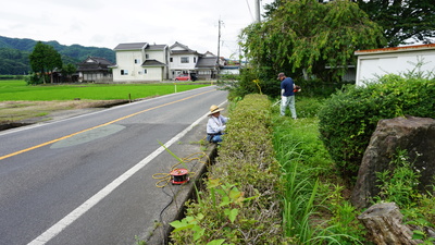 生垣の剪定作業写真