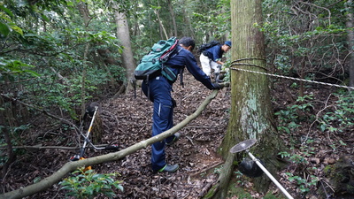 岩舟コース登山道の写真