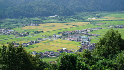 頂上から見る飯梨の田園風景写真