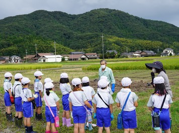 芋ほりの説明