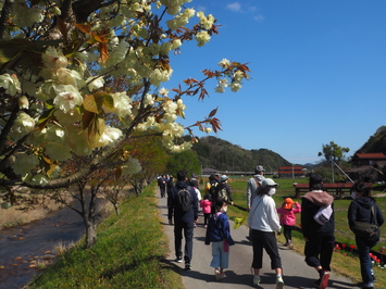 歩く様子