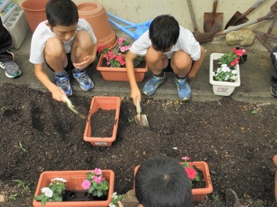 子どもたちが花植えをしている様子。