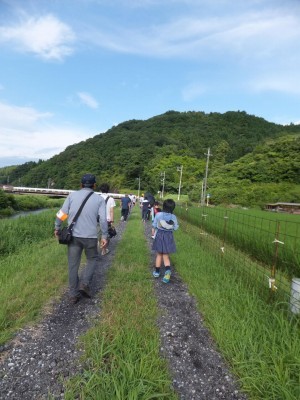 晴れ空のようす