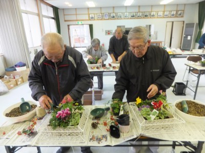 植えている所のようす