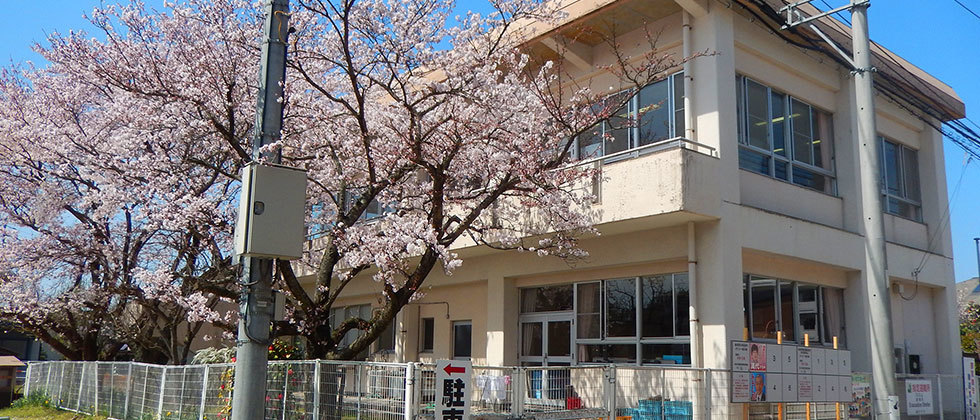 社日交流センターと桜