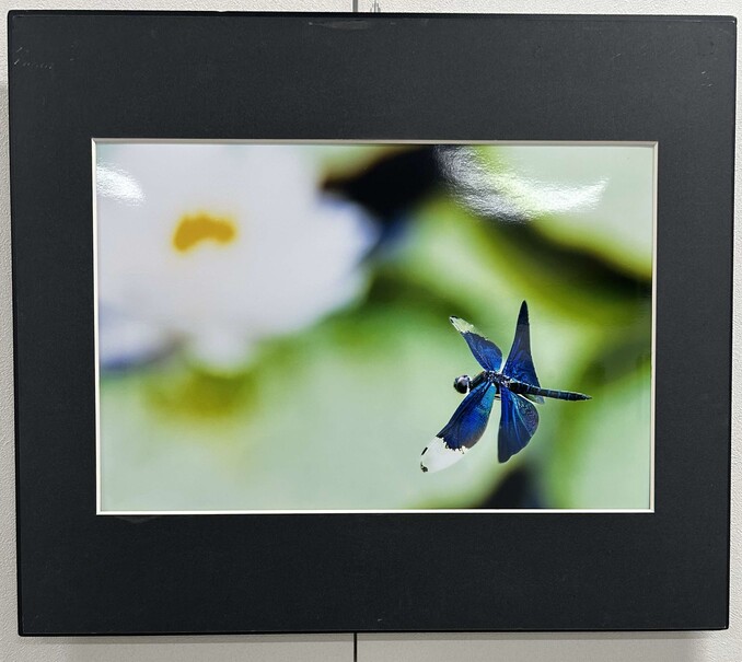 写真部門「輝く季節」石原康博