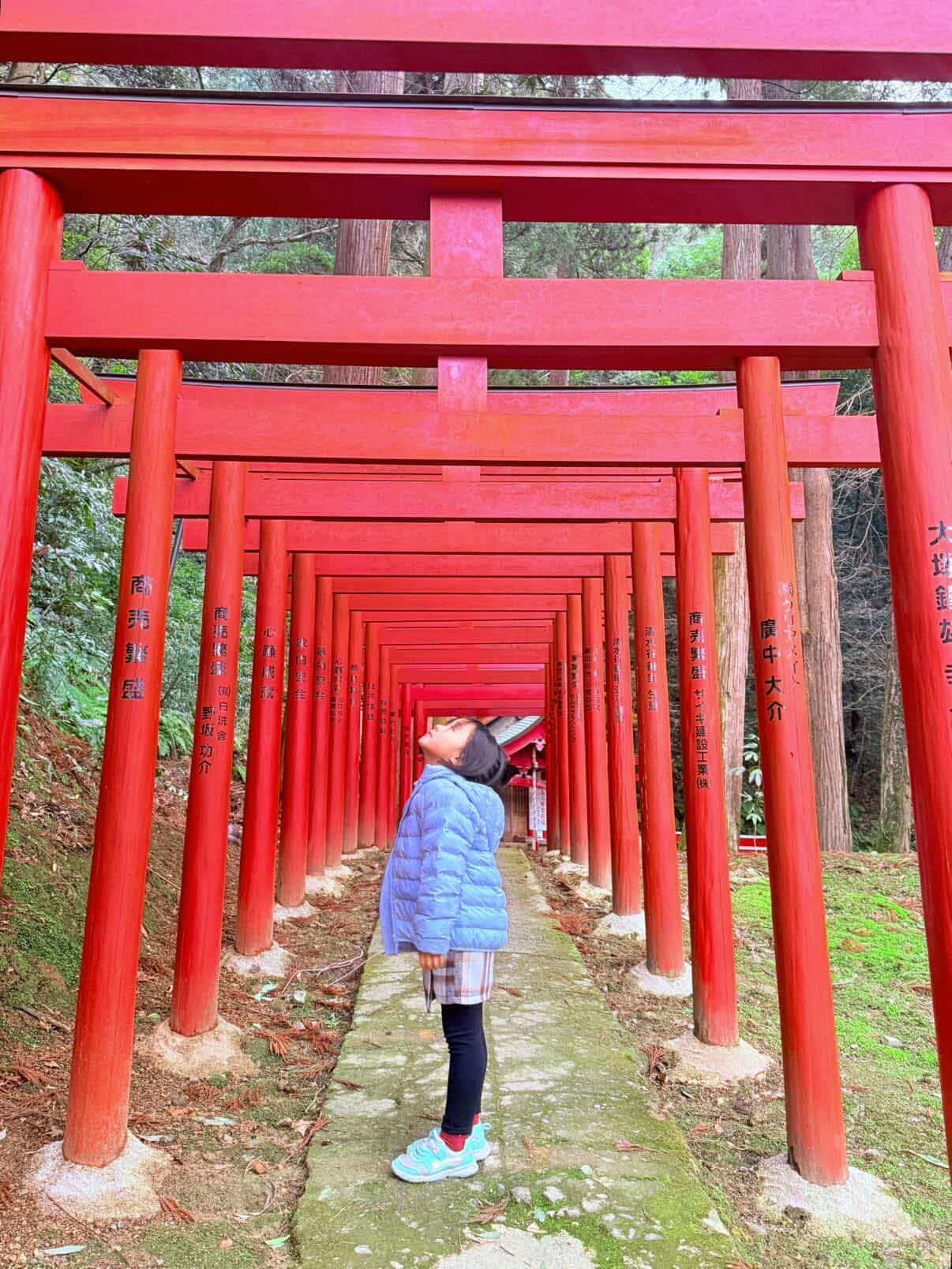 清水寺での様子です