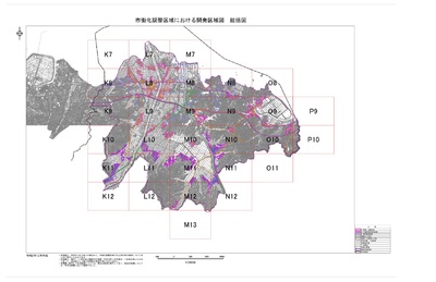 緩和区域の総括図