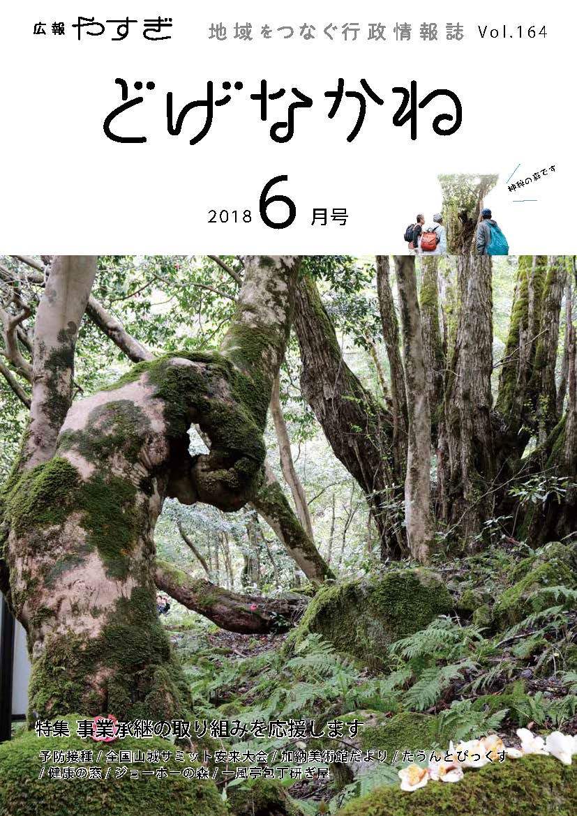 平成30年6月号表紙「白椿の森」